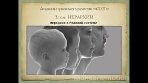 6 Важных законов Родовой системы