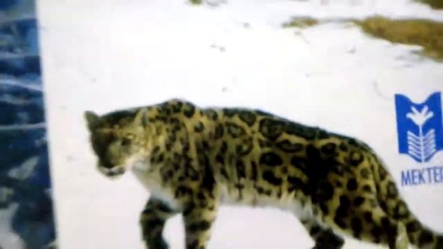 ОБЗОР КНИГ 9-КЛАССА ПЕРВАЯ ЧАСТЬ смотреть онлайн