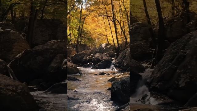 Пойми живой язык природы, и скажешь ты: прекрасен мир! смотреть онлайн