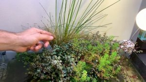 EXCLUSIVE TOUR - MD Fish Tanks - New Aquascape Studio