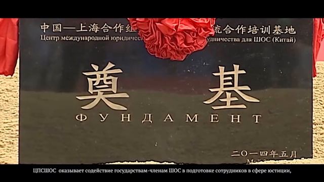 ШАНХАЙСКИЙ УНИВЕРСИТЕТ ПОЛИТИКИ И ПРАВА смотреть онлайн