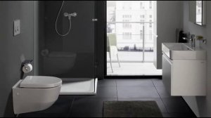 Санфаянс Laufen Pro S