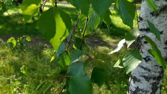 Налёт 2 сезон 2 серия | Обзор смотреть онлайн