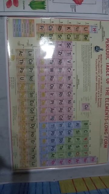 PERIODIC TABLE OF ELEMENTS -LONG FORM смотреть онлайн