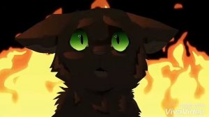 Коты-Воители. Листвичка и Грач. Читать описание!