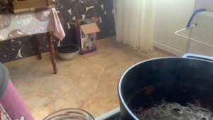 Варенье из слив «венгерка» очень вкусное