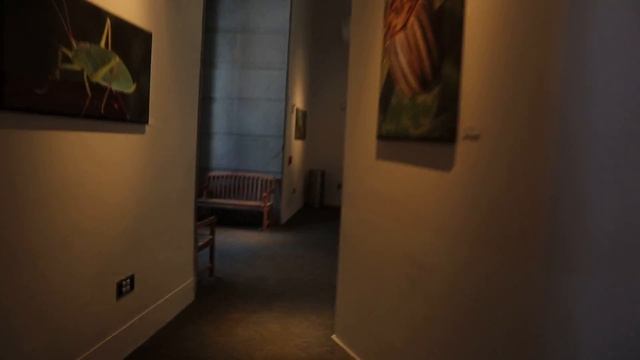 AUDUBON INSECTARIUM in NEW ORLEANS TOUR | Audubon Butterfly Garden & Insectarium Review смотреть онлайн