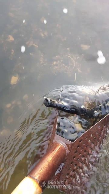 Что было на дне ручья? смотреть онлайн