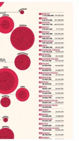 Top most spoken language in the world