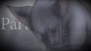 Песни в головах Котов Воителей