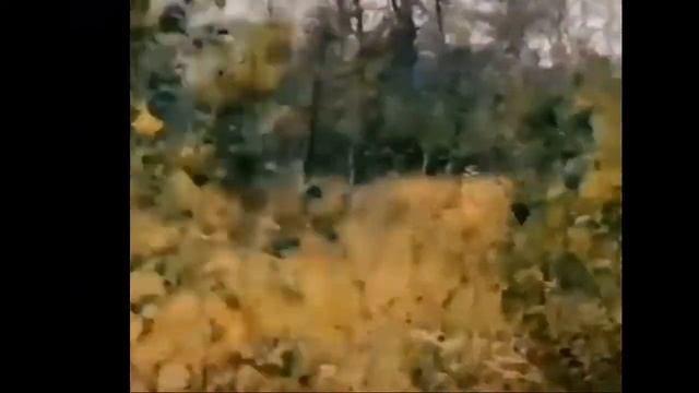 Сара бара бзия бзой Я тебялюблю по Абхазски.(моипесни) Фалько Лариса. смотреть онлайн