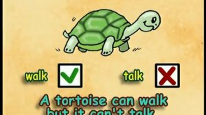 Spotlight 3 SB Module 5 Clever Animals - Watch, Listen & Say