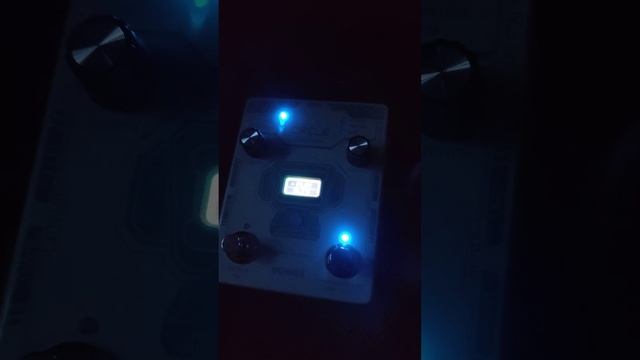 Caline Mariana Reverb Pitch Shifter, TC Electronics Flashback 2 Pitch shifting delay + Looper смотреть онлайн