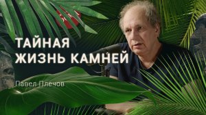 ГЕОЛОГ: «Наша Земля — это термос». Что скрывают кристаллы? Павел Плечов