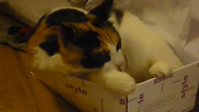 мотя.MOV смотреть онлайн