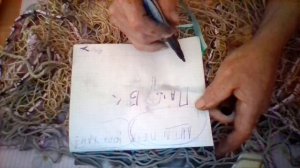 Дальнегорский перевал. Теребилова я вроде не видел и не интересуюсь борьбой за местную власть.