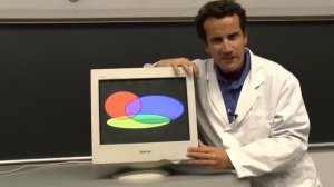 The Lorentz Force, and the Right Hand Rule.mp4