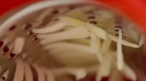 Терка Fusion Master Tupperware