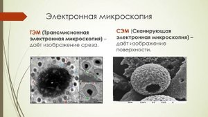 Урок 1, методы биологии часть 1 ЕГЭ