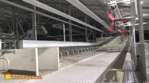 Лучистое отопление молочно товарной животноводческой фермы в Гомельской области республике Беларусь