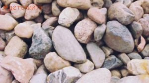 99 слов для малышей 1-3 года! Развивающие мультики для детей #детскийтв