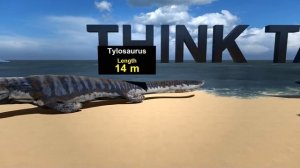 Sea Monsters Size Comparison 3D | Fish size comparison | 3d animation comparison