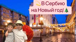 Сербия на Новый год! Белград, Мечавник, Фрушка гора. Отдых с детьми.