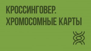 Кроссинговер. Хромосомные карты. Видеоурок по биологии 10 класс