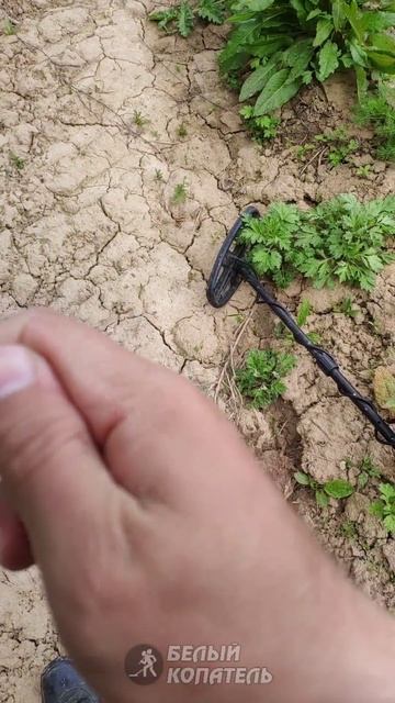 История лежит прямо под ногами смотреть онлайн