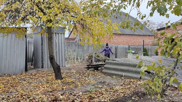 ГЕНЕРАЛЬНЕ ПРИБИРАННЯ НА ГОРОДі РАЗОМ З ПОМіЧНИКАМИ! 🐓🐦🐈⬛