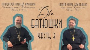 Как узнать волю Бога, где знакомиться девушке, как молиться за не крещённого/ ДВА БАТЮШКИ / ЧАСТЬ 3