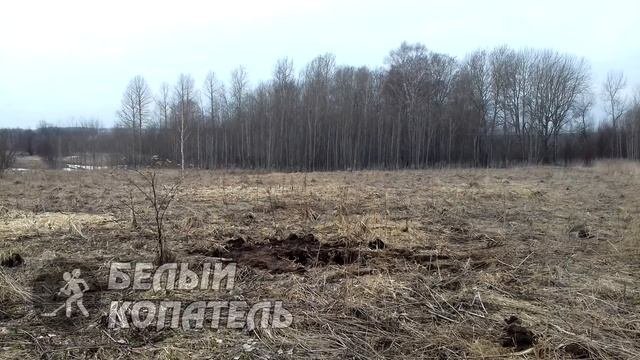 ПЕРВЫЙ КЛАД МОНЕТ ЗА 4 ГОДА ПОИСКОВ !!!