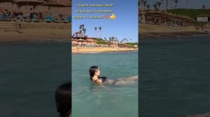 Nubian Village 5* Шарм-Эль-Шейх Ноябрь 2023 год