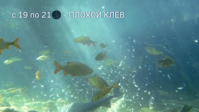 Рыбалка Ставропольский край (КМВ), ЛУННЫЙ КАЛЕНДАРЬ КЛËВА на март.