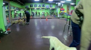 Кора и Чарли