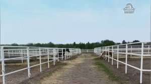 О переезде команды Вадима Кулыгина в хозяйство