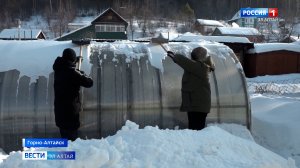 Волонтеры аграрного колледжа ГАГУ помогают нуждающимся