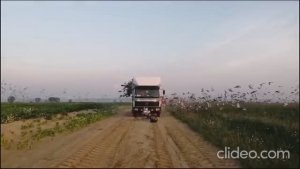 10 гонка. 780км. Московский регион. 13 июля 2024 года