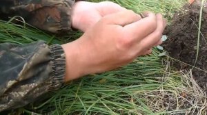 ЭТО БОМБА!!! КЛАД 1200 СЕРЕБРЯНЫХ МОНЕТ = 3,5 КИЛОГРАММА СЕРЕБРА!!!