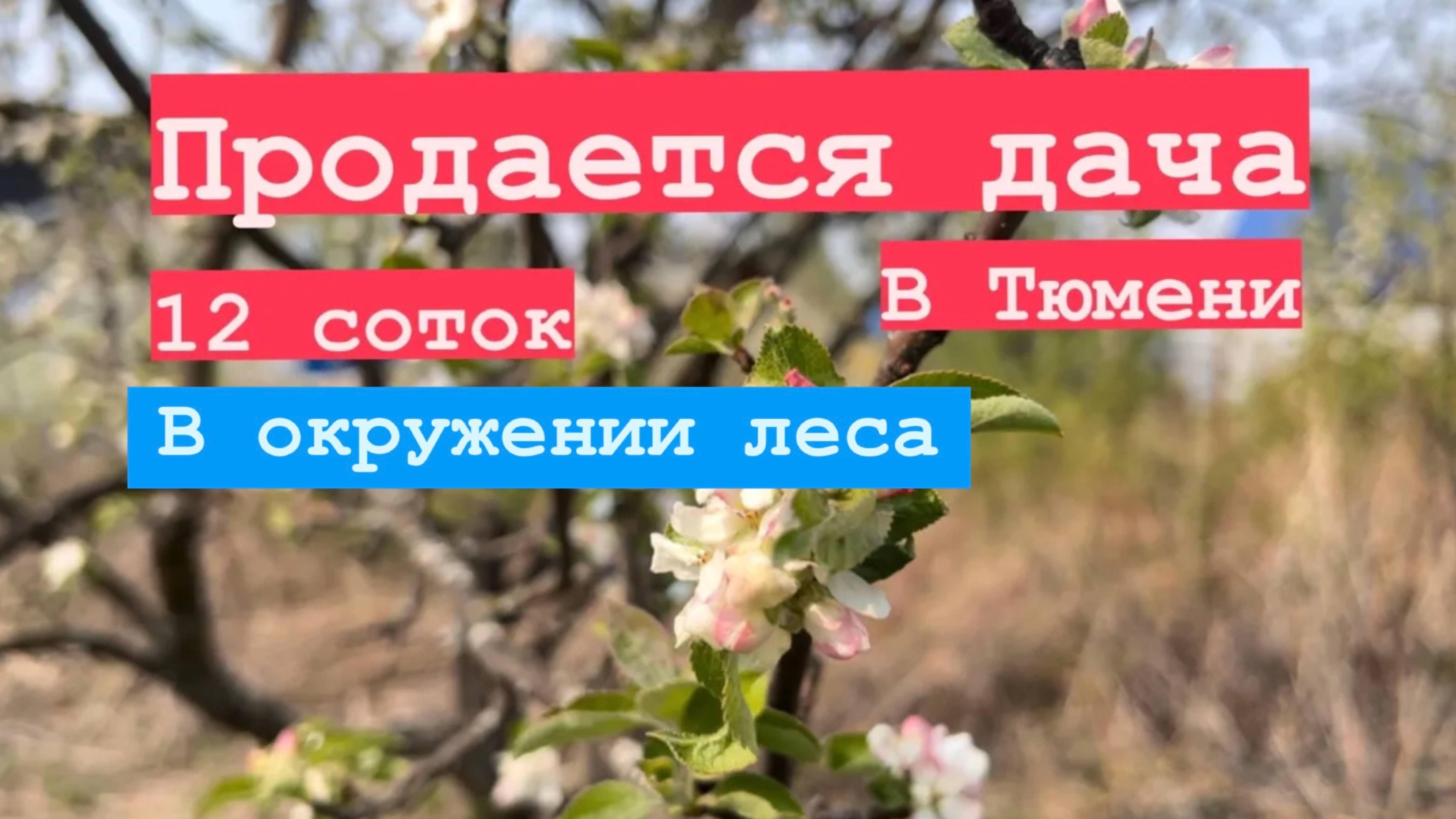 Дача в Тюмени в окружении леса. 12 соток с домиком и всего за 1 700 т. р.!👍🔥
