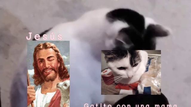 ¿ago haora los videos 3n español o en rruso?♡ делаю видео на испанский или русский? смотреть онлайн