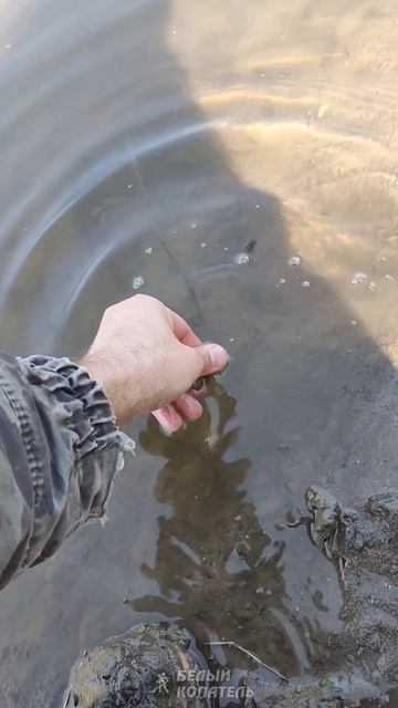 Смотрите что я нашёл смотреть онлайн