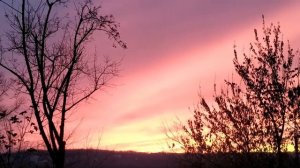 Невский 5 сезон Охота на Архитектора 1 - 30 серии (сериал 2022)