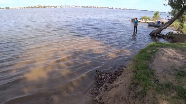 Каспийская селедка пошла .Рыбалка в астрахани на резинку.Ловля судака и селедки.