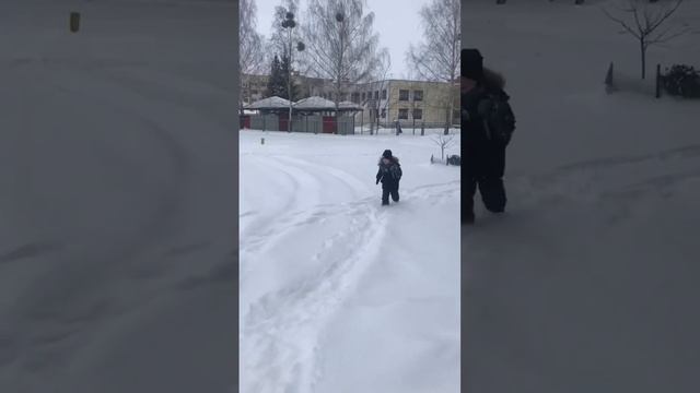 Береза. Безопасный Новый год! смотреть онлайн