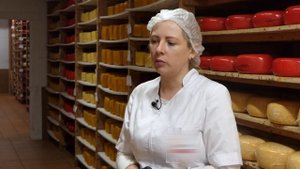 Сыры, не хуже заграничных! Огромная сыроварня "Искра" Ужурского района. О ХЛЕБЕ НАСУЩНОМ 09.03.2024
