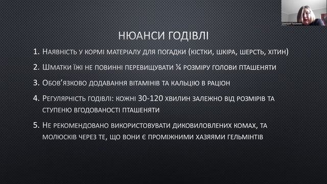 Пташенята денних та нічних хижих птахів