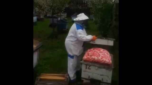 Семья в жизни личности и общества смотреть онлайн