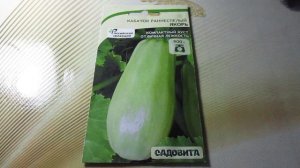 Кабачок Якорь от САДОВИТА.