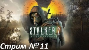 S.T.A.L.K.E.R. 2: Heart of Chornobyl. Стрим № 11.